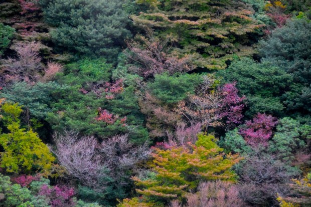 Hakone_8