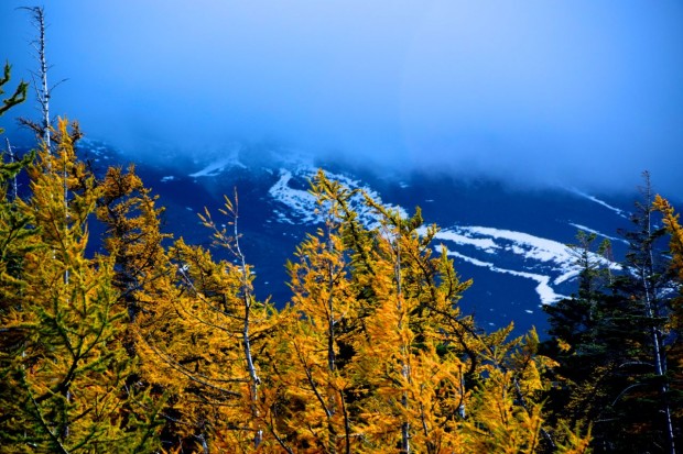 Monte _Fuji_30