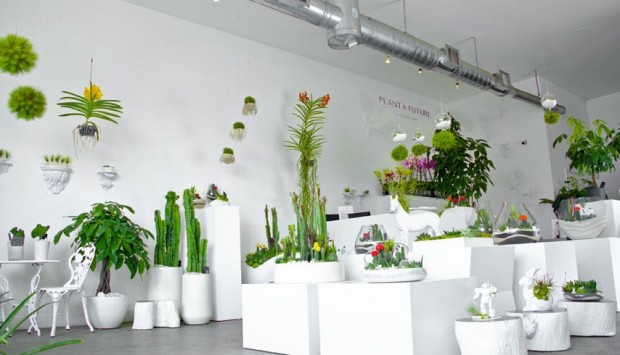 Plant_the_future_ wynwood_