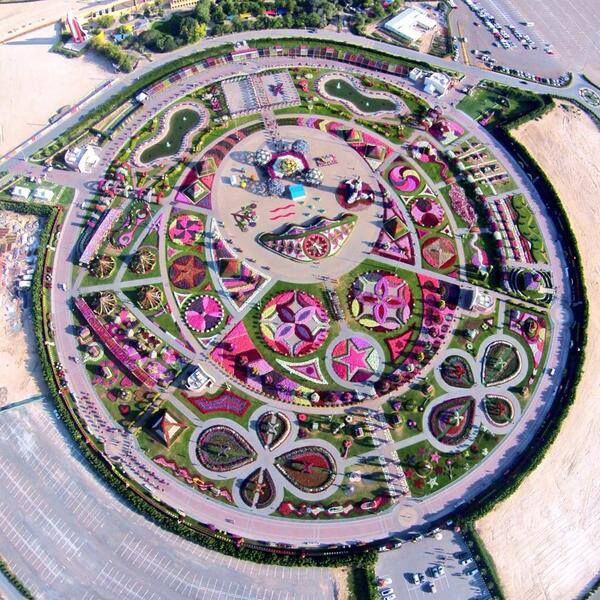 Dubai_Miracle_Garden_10