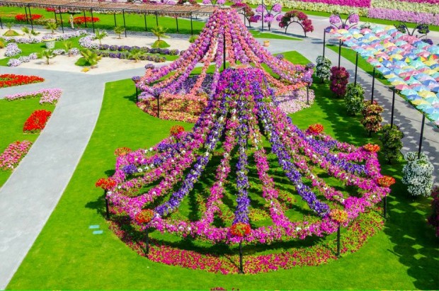 Dubai Miracle Garden