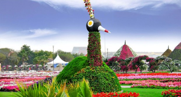 Dubai_Miracle_Garden_18