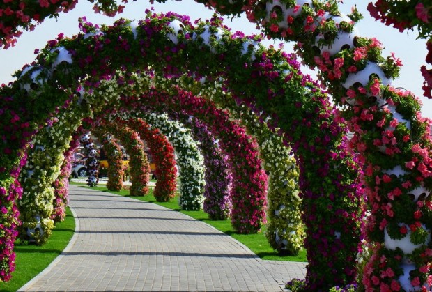 Dubai_Miracle_Garden_2