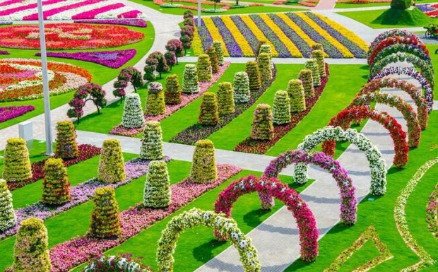 Dubai_Miracle_Garden_4