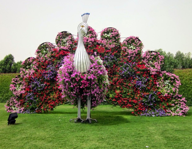 Dubai_Miracle_Garden_6