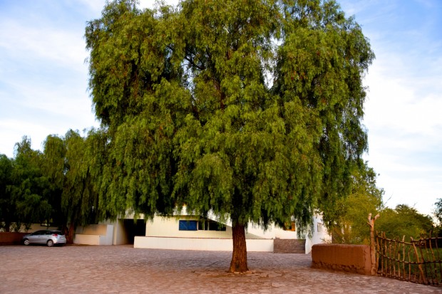Hotel_Explora_Atacama_11
