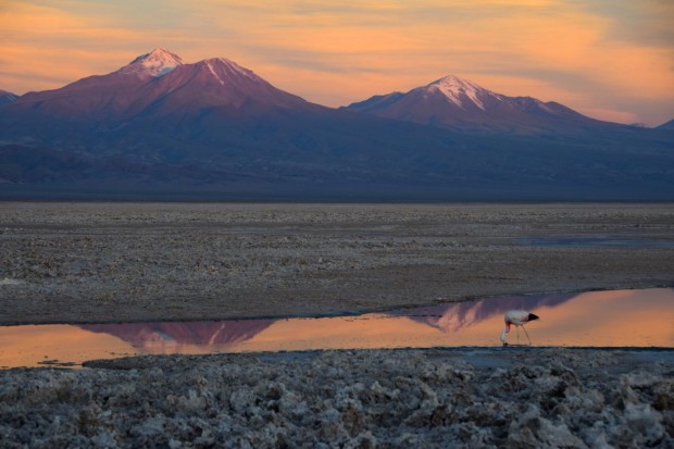 Reserva_dos_Flamingos_Atacama_14