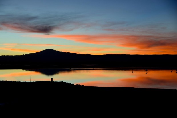 Reserva_dos_Flamingos_Atacama_19