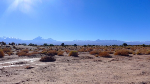 Salar_de_Atacama_1