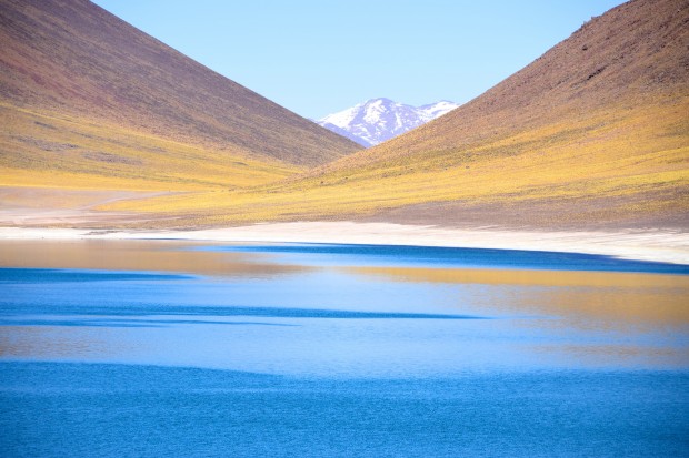Lagunas_Altiplânicas_19