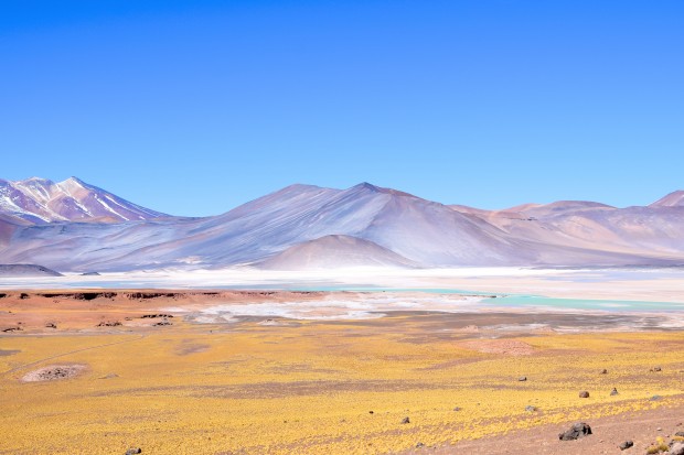 Lagunas_Altiplânicas_24