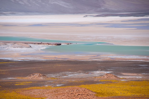 Lagunas_Altiplânicas_26
