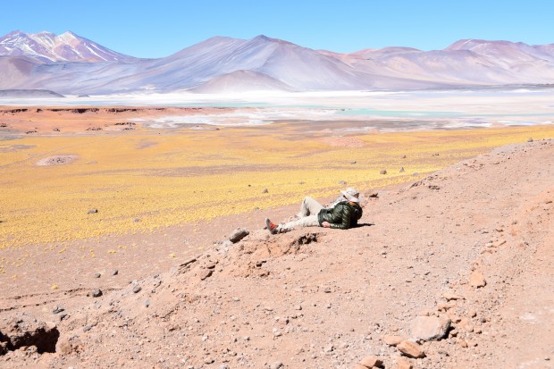 Lagunas_Altiplânicas_27