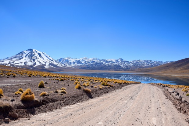 Lagunas_Altiplânicas_3