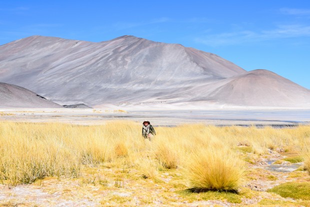 Lagunas_Altiplânicas_30