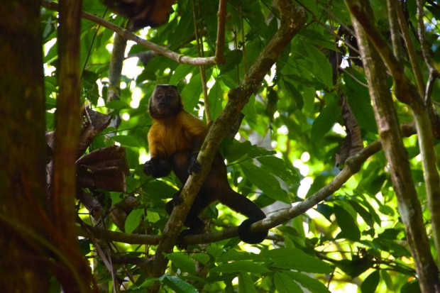 Cristalino_Lodge_Amazônia_108