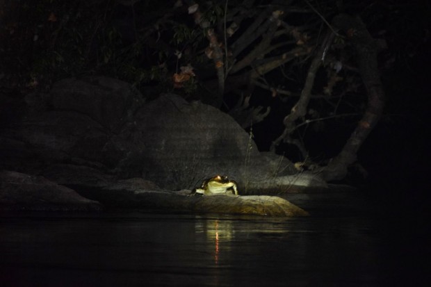 Cristalino_Lodge_Amazônia_11