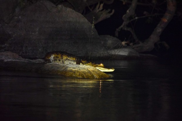 Cristalino_Lodge_Amazônia_12