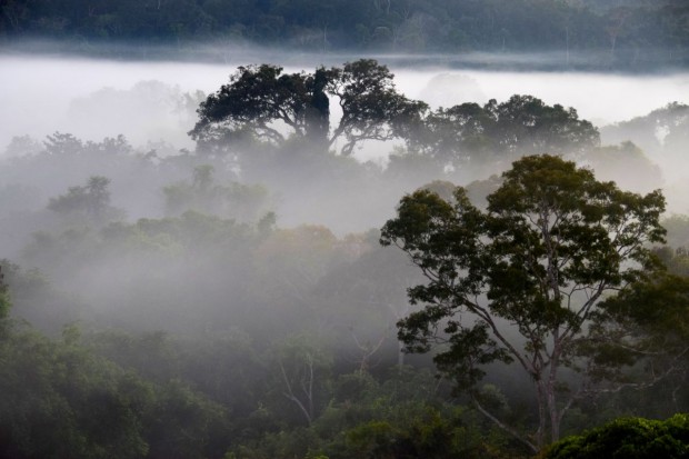 Cristalino_Lodge_Amazônia_128