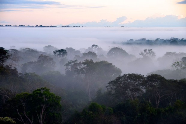 Cristalino_Lodge_Amazônia_129