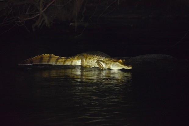 Cristalino_Lodge_Amazônia_13