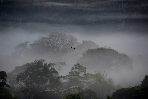 Cristalino_Lodge_Amazônia_132
