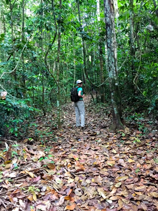 Cristalino_Lodge_Amazônia_141