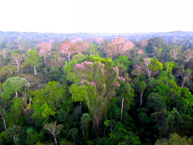 Cristalino_Lodge_Amazônia_16