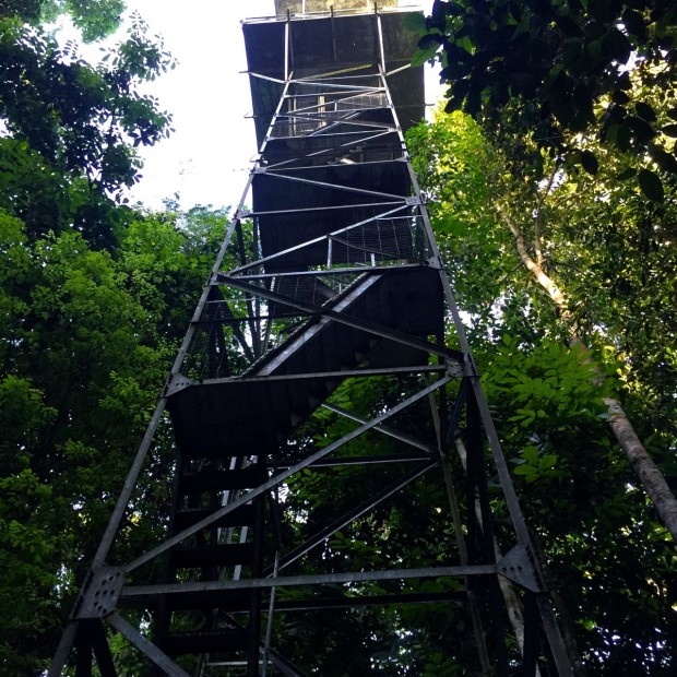 Cristalino_Lodge_Amazônia_27