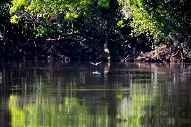 Cristalino_Lodge_Amazônia_47