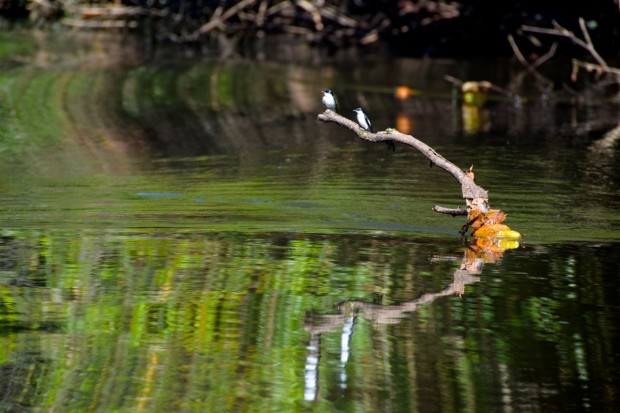 Cristalino_Lodge_Amazônia_48