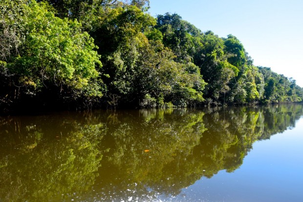 Cristalino_Lodge_Amazônia_50