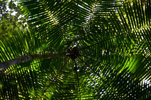 Cristalino_Lodge_Amazônia_59