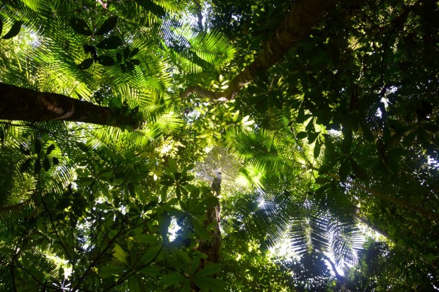 Cristalino_Lodge_Amazônia_60
