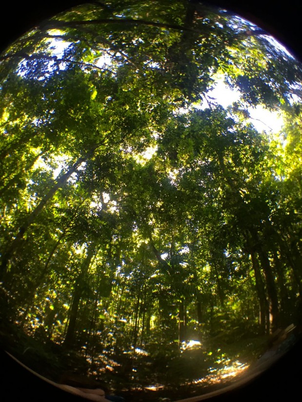 Cristalino_Lodge_Amazônia_62