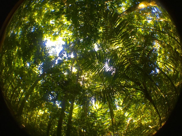 Cristalino_Lodge_Amazônia_67