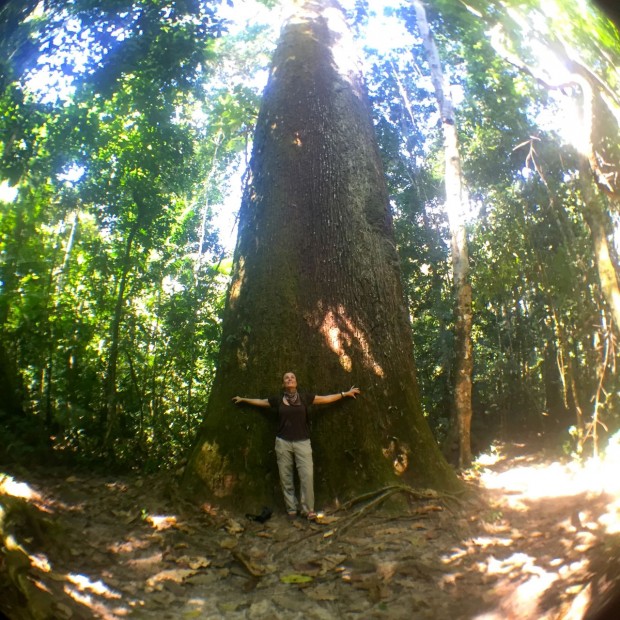 Cristalino_Lodge_Amazônia_70