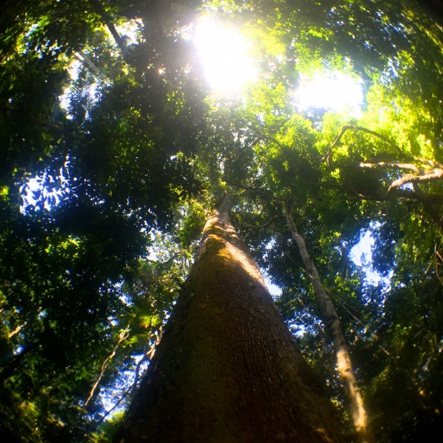 Cristalino_Lodge_Amazônia_72
