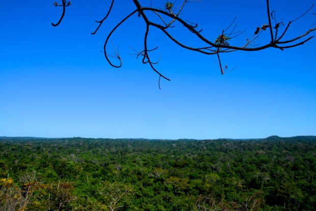 Cristalino_Lodge_Amazônia_95