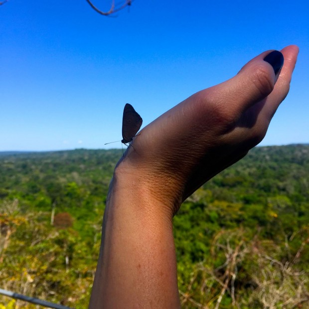 Cristalino_Lodge_Amazônia_99