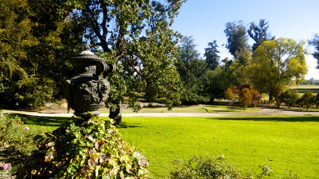 Don_Melchor_Chile_14