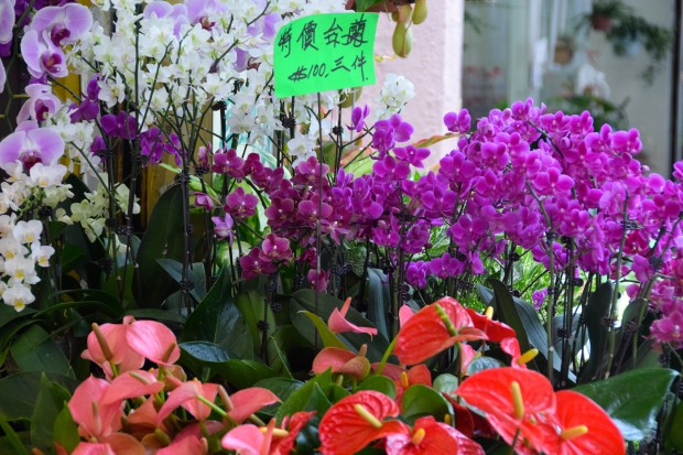 Hong_Kong_42