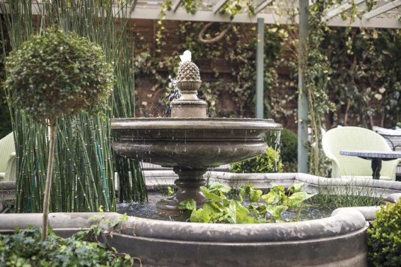 The_Ivy_Chelsea_Gardens_