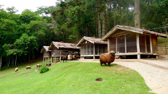 Hotel_Toriba_Campos_do_Jordão_33
