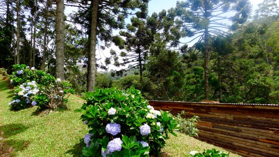 Hotel_Toriba_Campos_do_Jordão_76