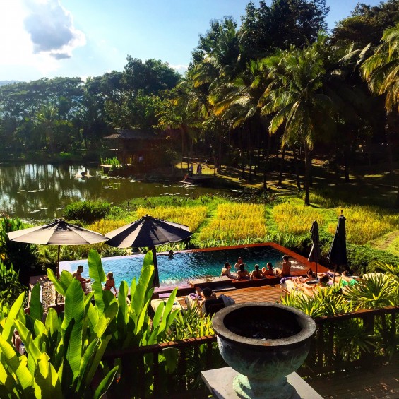 Four_Seasons_Chiang_Mai_Thailand_92