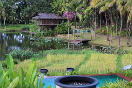 Four_Seasons_Chiang_Mai_Thailand_6