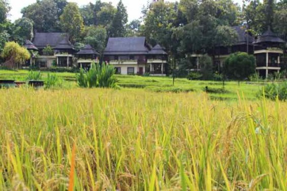 Four_Seasons_Chiang_Mai_Thailand_24