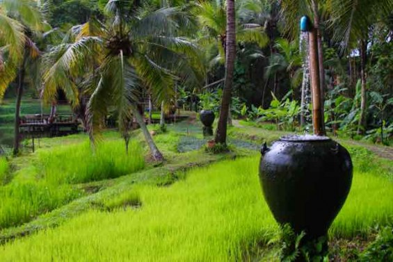 Four_Seasons_Chiang_Mai_Thailand_30