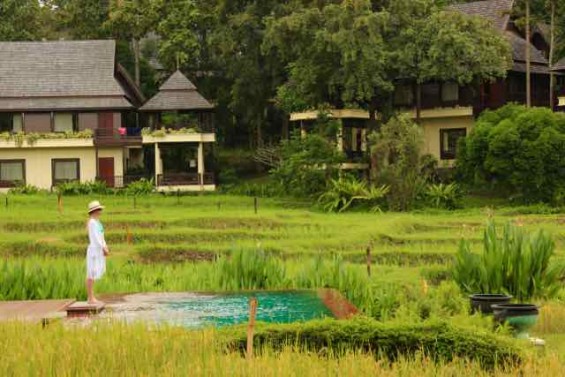 Four_Seasons_Chiang_Mai_Thailand_42